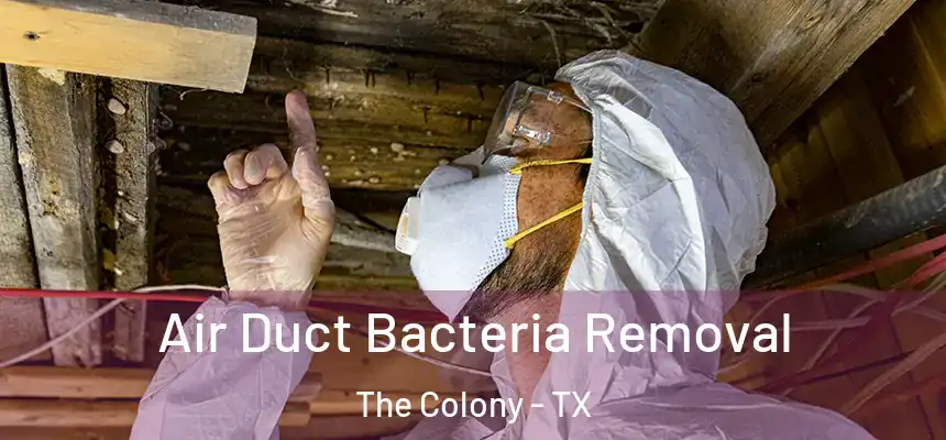  Air Duct Bacteria Removal The Colony - TX