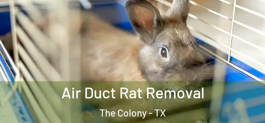  Air Duct Rat Removal The Colony - TX