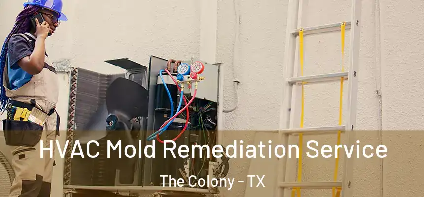  HVAC Mold Remediation Service The Colony - TX