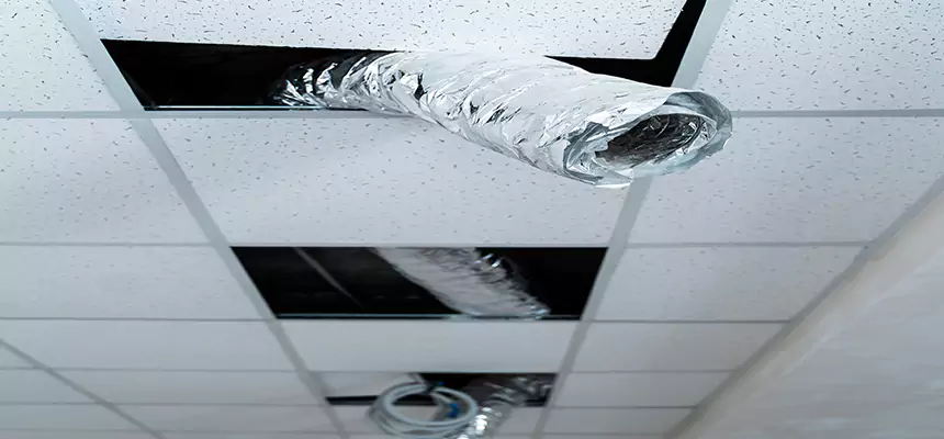 Our Air Duct Pet Hair Removal Services in The Colony, TX