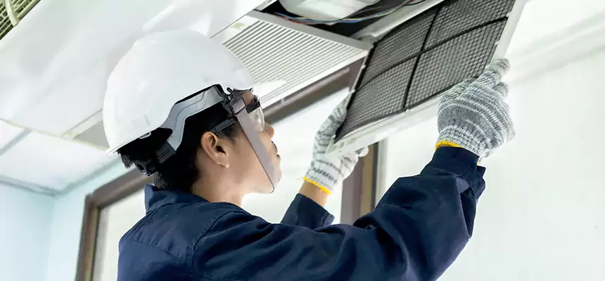 Our Mold & Mildew Removal from Air Ducts Services in The Colony, TX