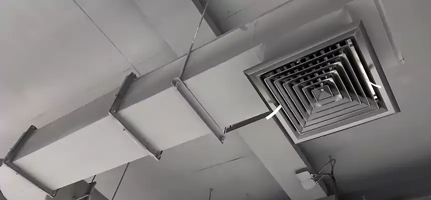 Our Pest Removal From Ducts Services in The Colony, TX