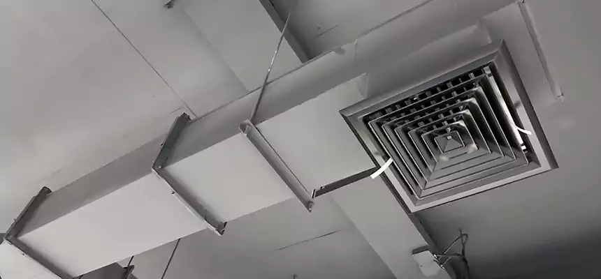 Our Rodent Droppings In Vents Services in The Colony, TX