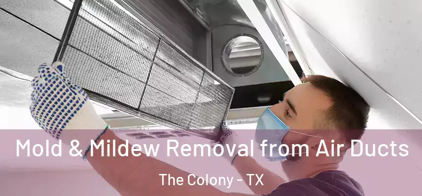  Mold & Mildew Removal from Air Ducts The Colony - TX