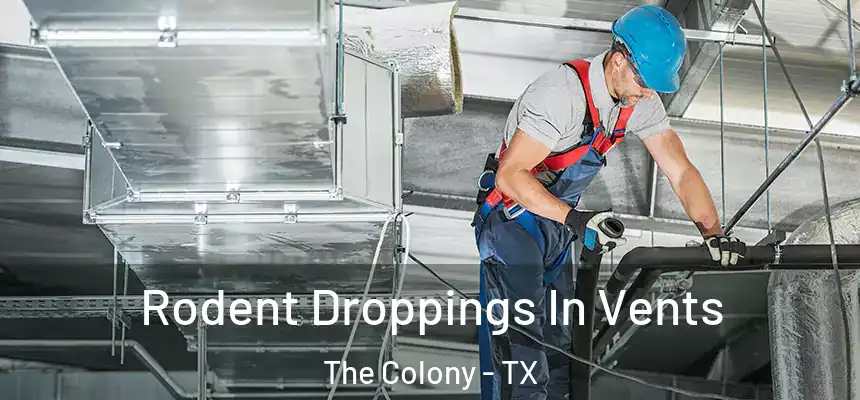  Rodent Droppings In Vents The Colony - TX