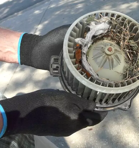 About Air Duct Mice Removal in The Colony, TX