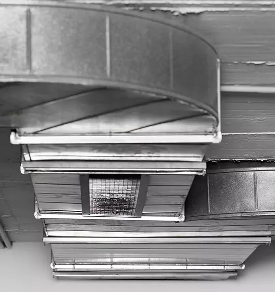 Professional Air Duct Pet Hair Removal in The Colony, TX