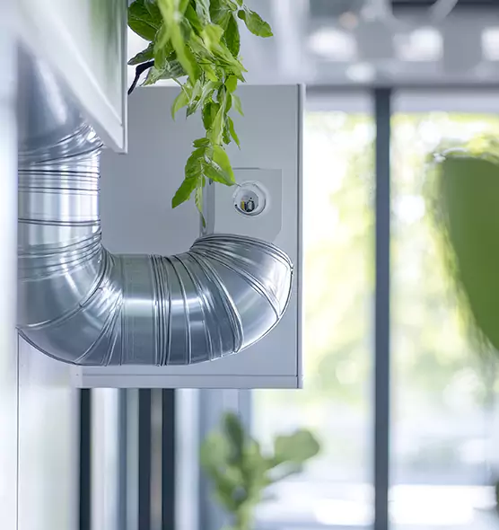 Professional Eco-Friendly Duct Cleaning Services in The Colony, TX