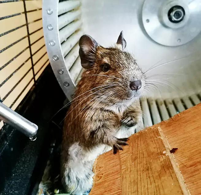 Why Homeowners & Businesses Trust Us The Colony, TX