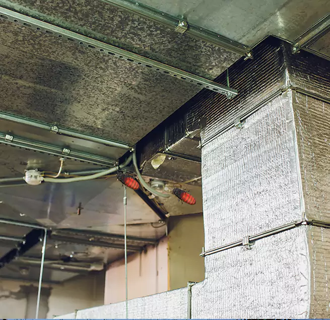 Why Homeowners & Businesses Trust Us The Colony, TX?