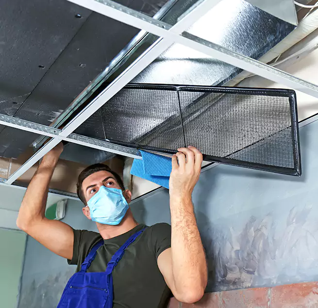 Why Homeowners & Businesses Trust Us in The Colony, TX?